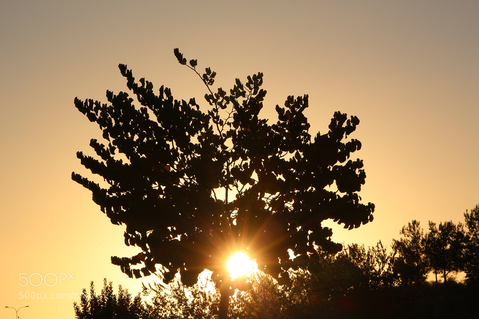 Canon EOS 650D (EOS Rebel T4i / EOS Kiss X6i) sample photo. Img photography