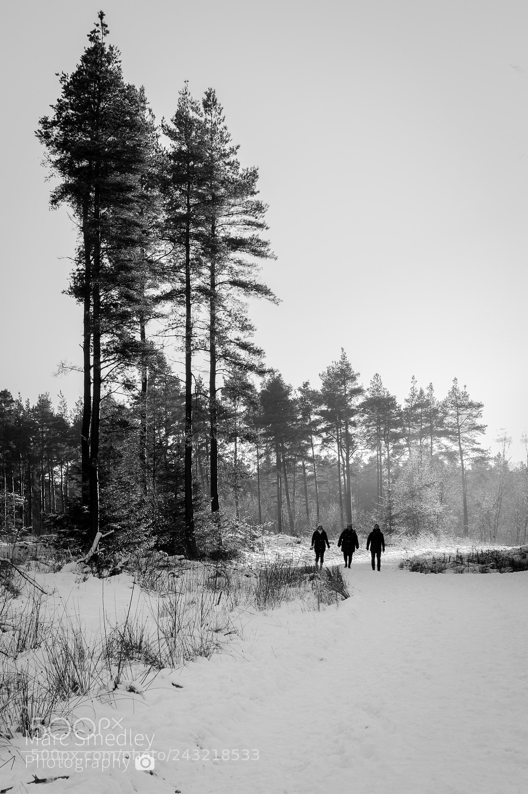 Nikon D3200 sample photo. A winter scene photography