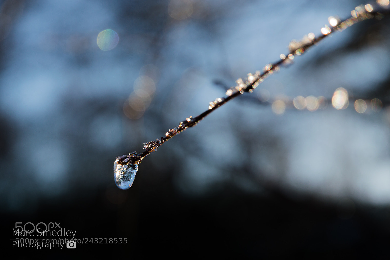 Nikon D3200 sample photo. Ice drop photography