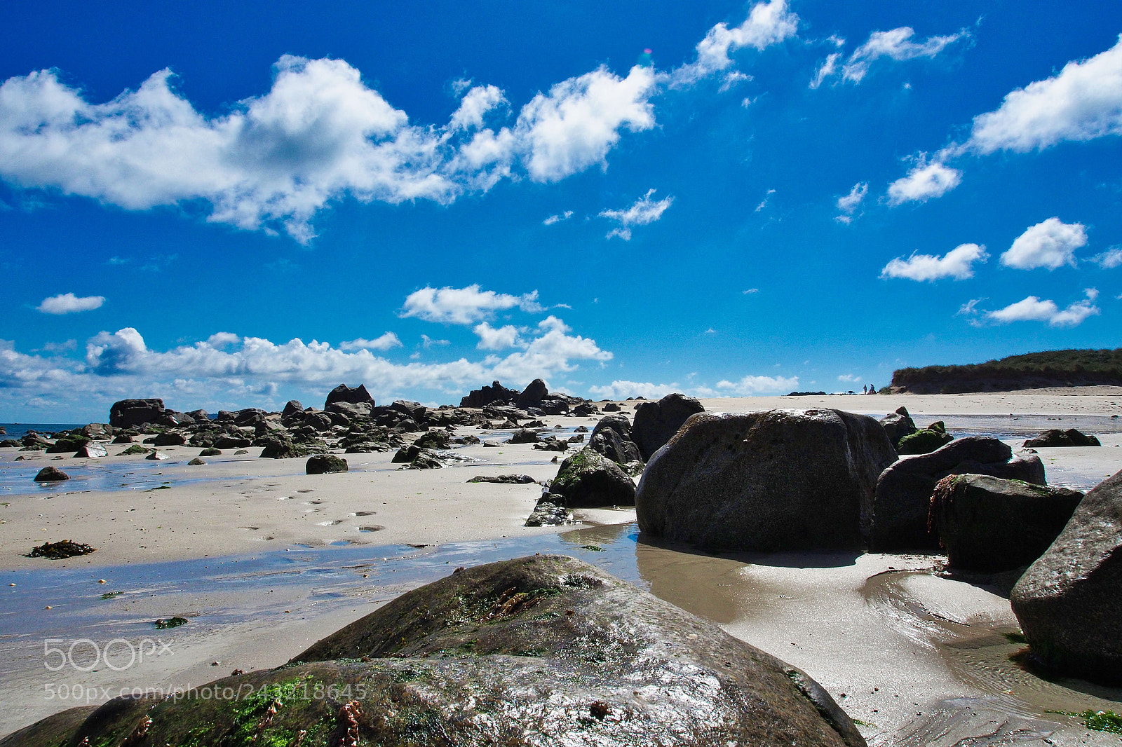 Olympus OM-D E-M5 sample photo. Guernsey impressions photography