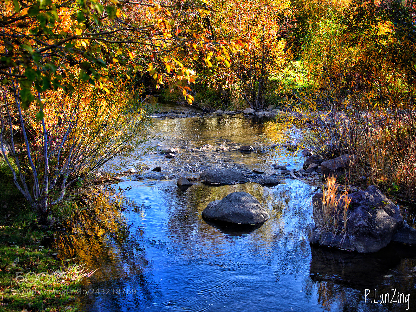 Nikon D810 sample photo. Meditation coyote creek, new photography