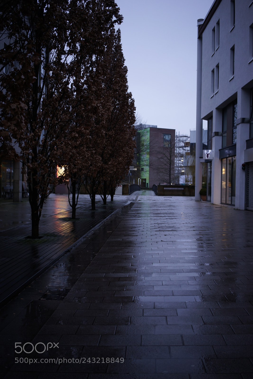 Sony a7 sample photo. Rain in the city photography