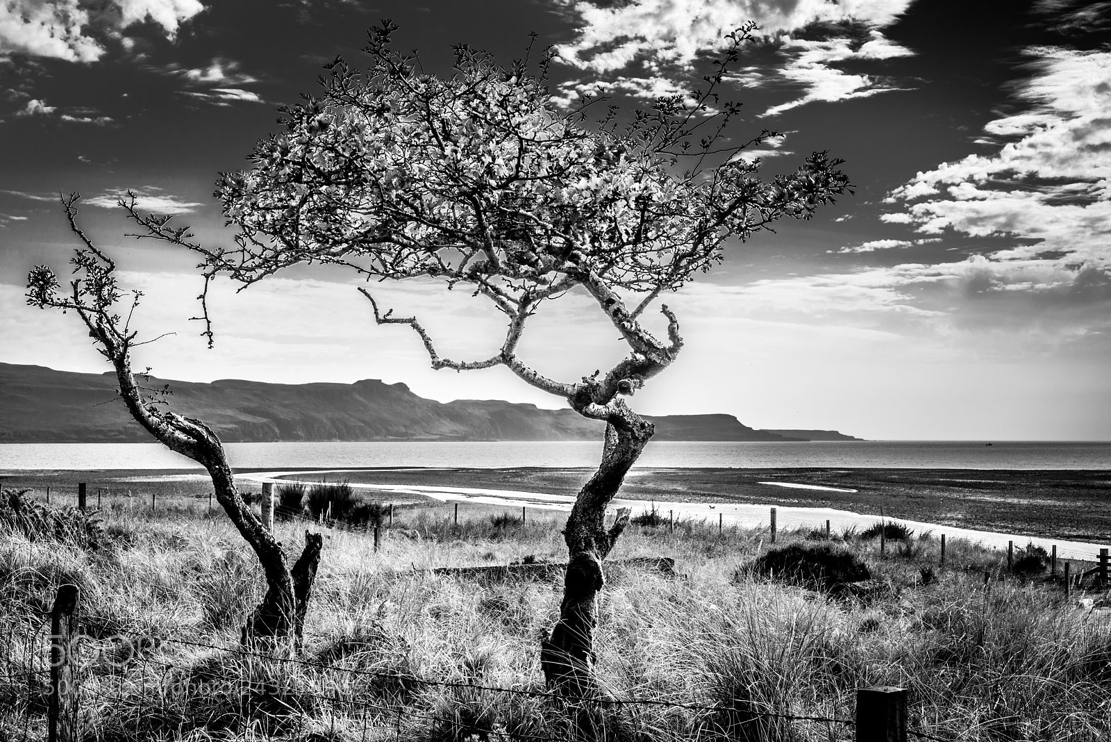 Nikon D610 sample photo. Isle of skye photography