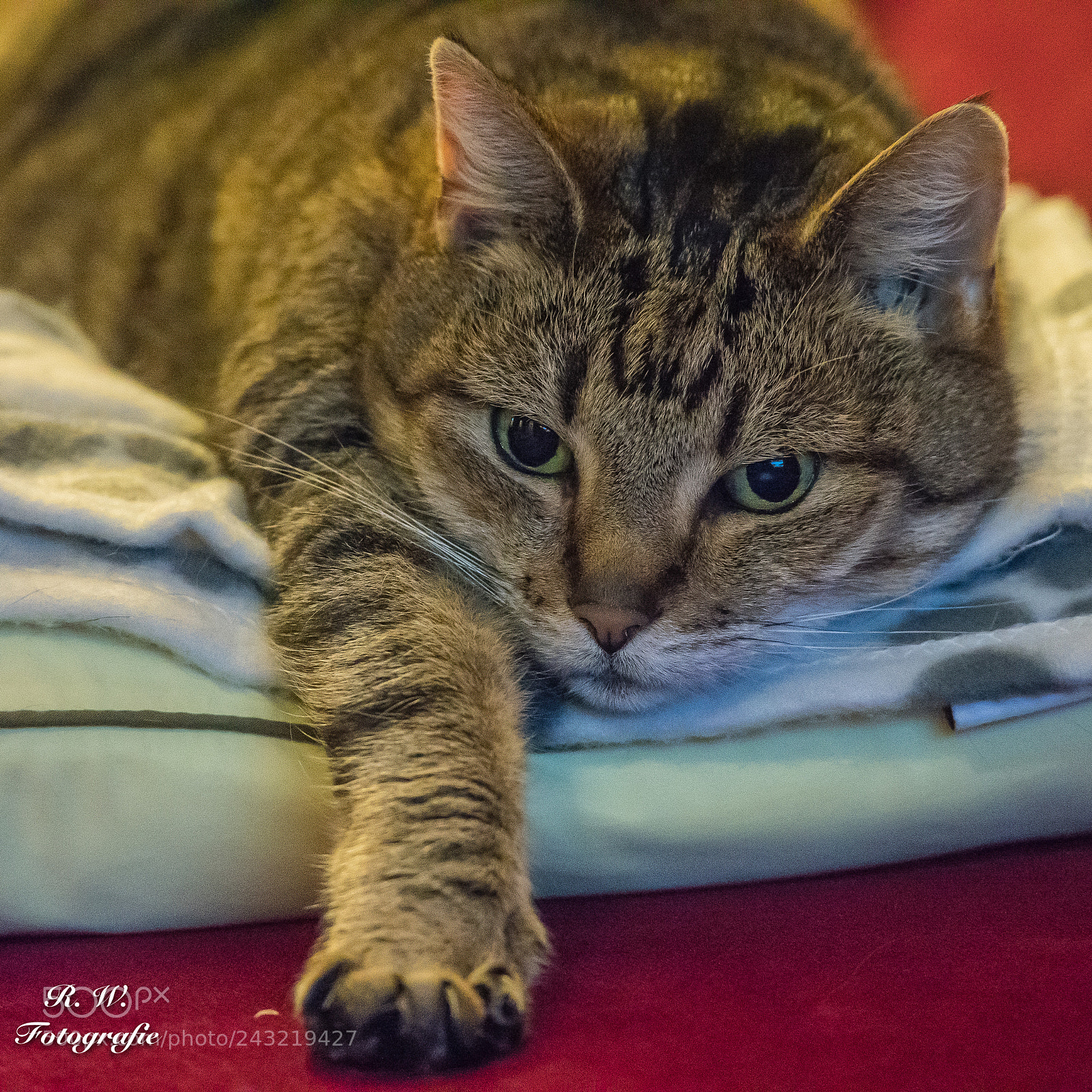 Panasonic Lumix DC-G9 sample photo. Bis hierhin photography