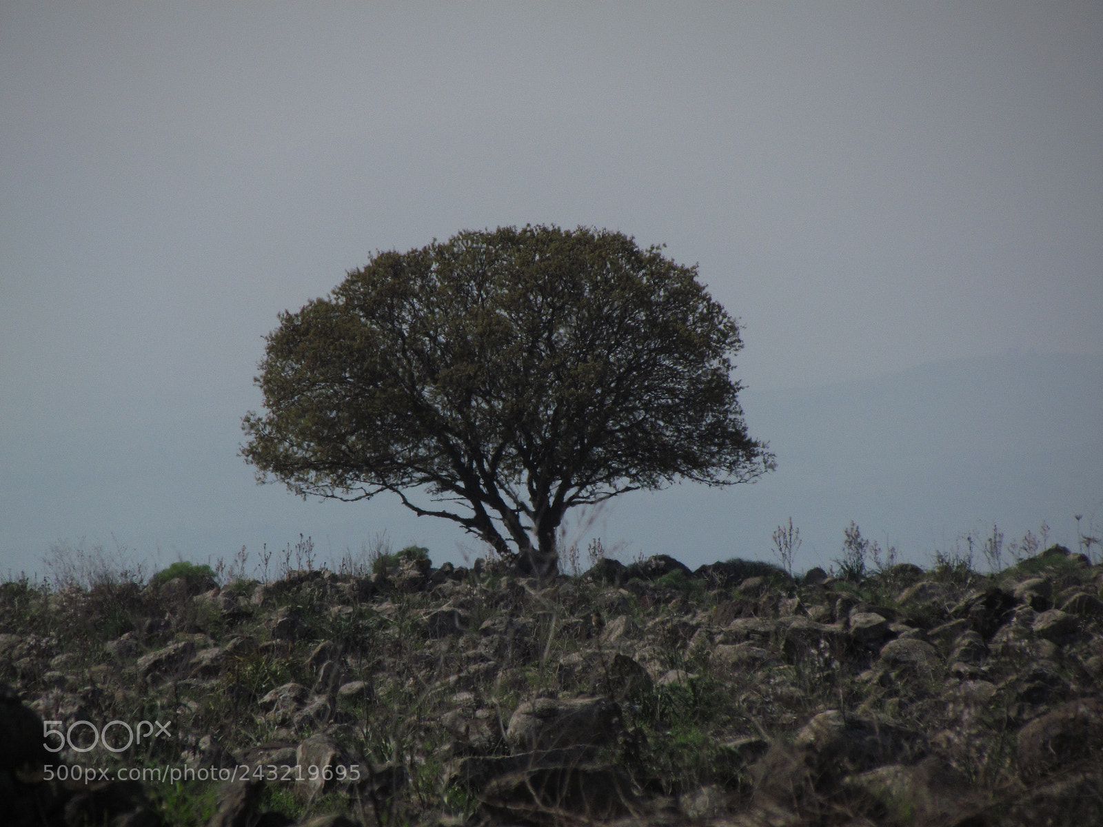Canon PowerShot SX30 IS sample photo. Img photography