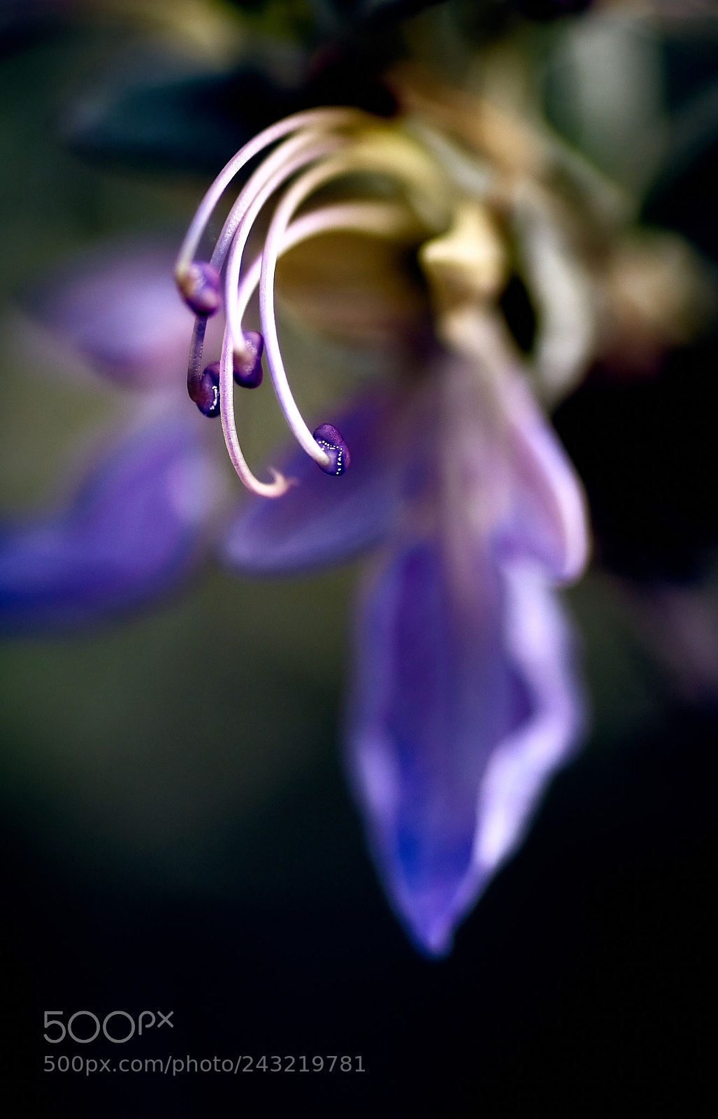 Sony ILCA-77M2 sample photo. Dispersion photography