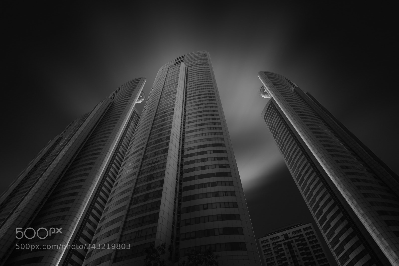 Nikon D810 sample photo. Brave new world photography