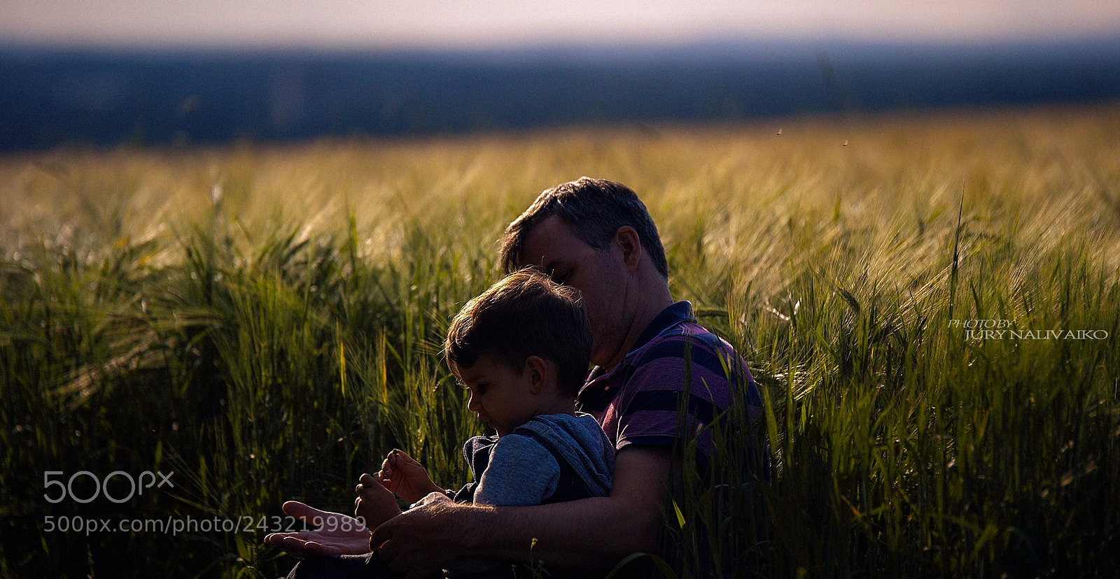 Nikon D700 sample photo. Summer day photography