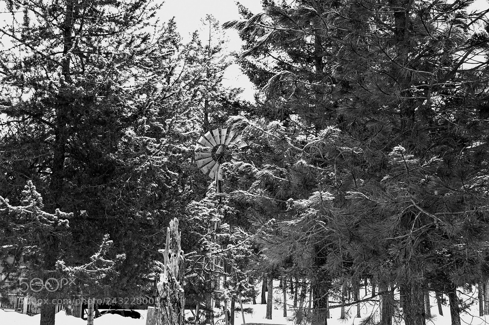 Nikon D40 sample photo. Snow mill photography