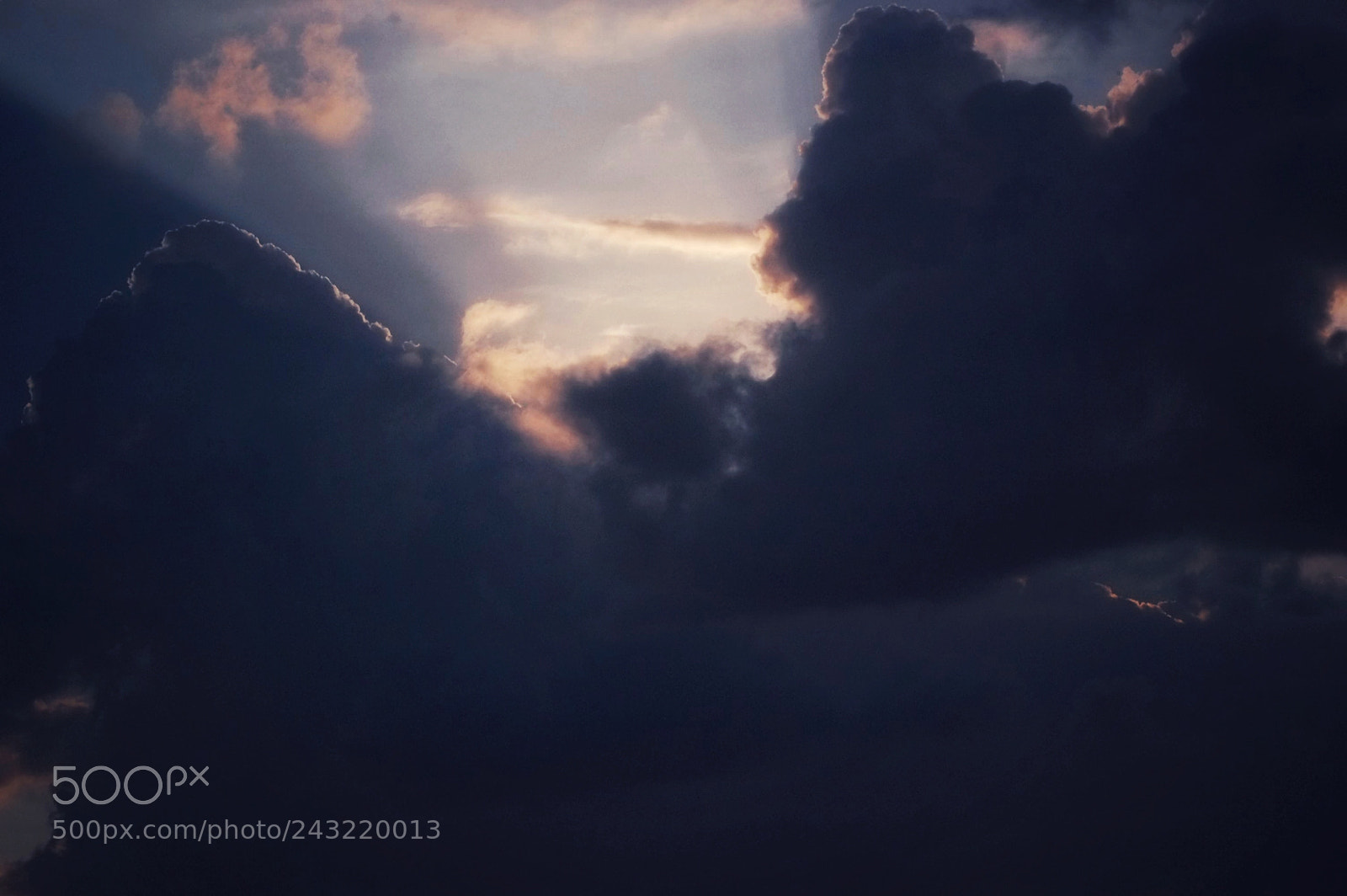 Nikon D40 sample photo. Untitled photography