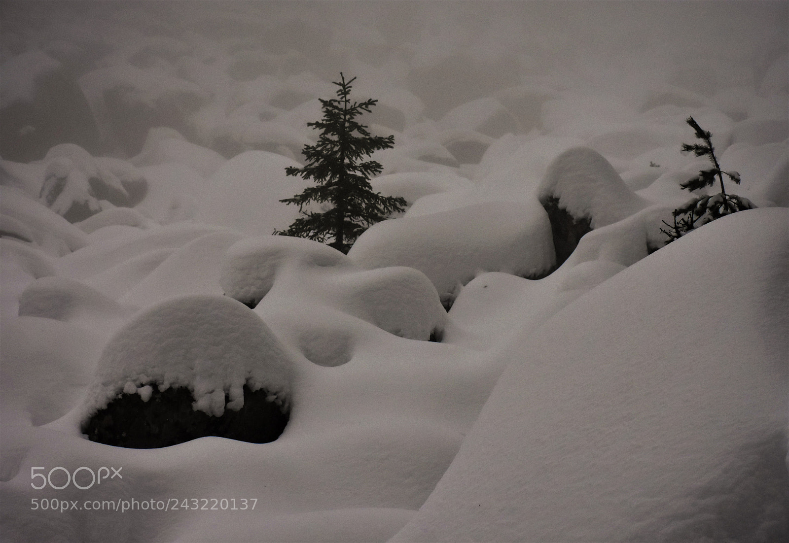 Nikon D7200 sample photo. Winter @ vitosha mountain photography