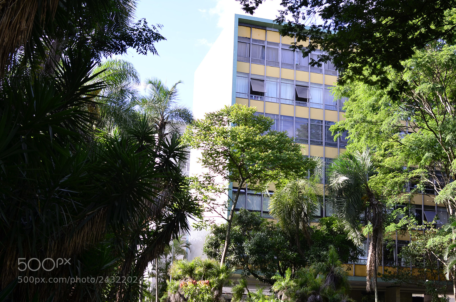 Nikon D5100 + Nikon AF-S DX Nikkor 35mm F1.8G sample photo. [] photography