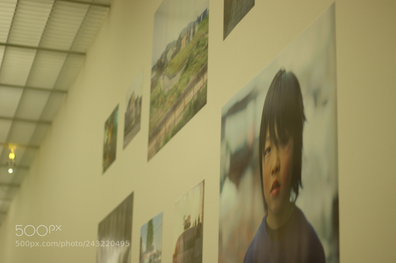 Canon EF 50mm F1.8 STM sample photo. Xa photography