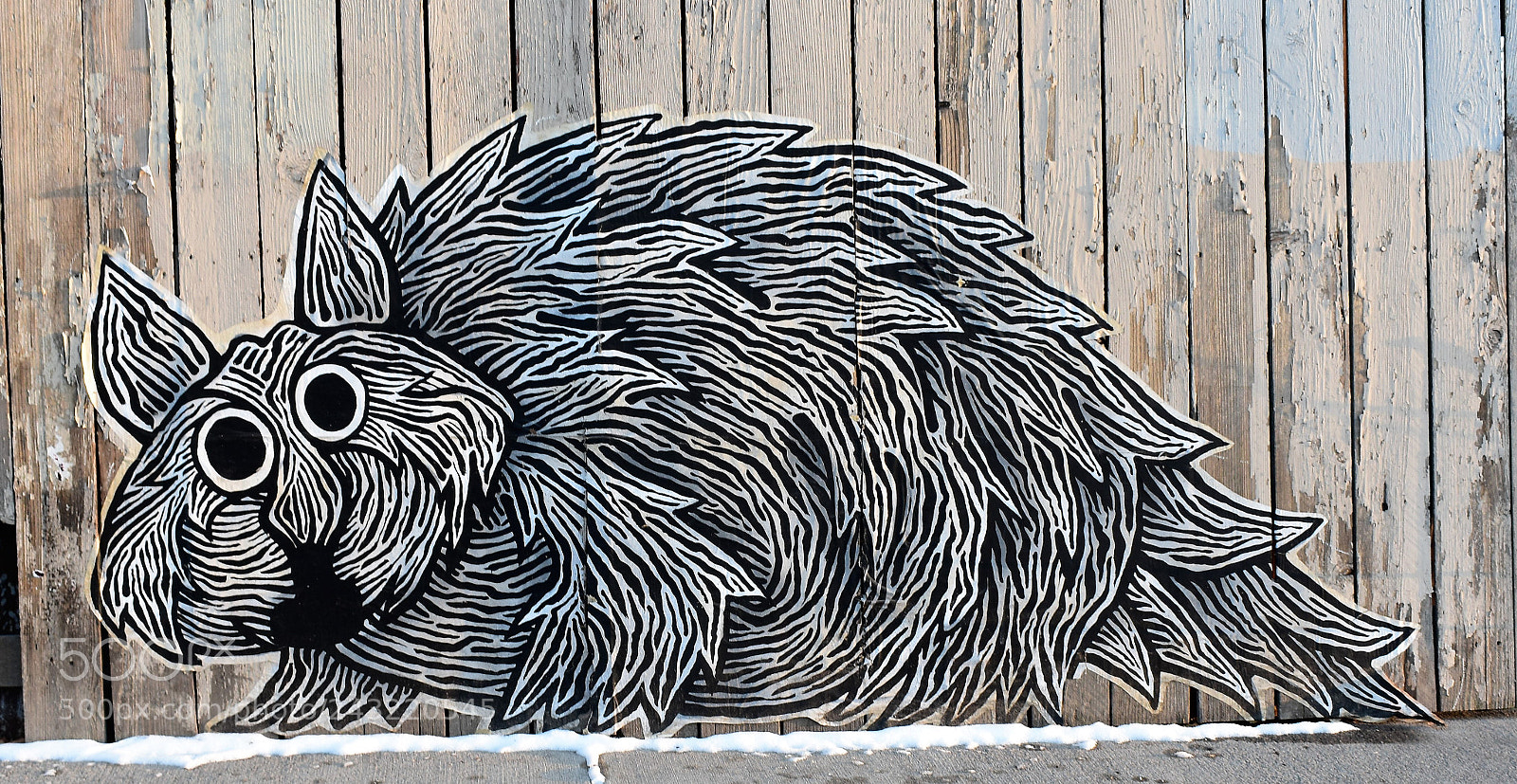 Nikon D3400 sample photo. Street art denver photography