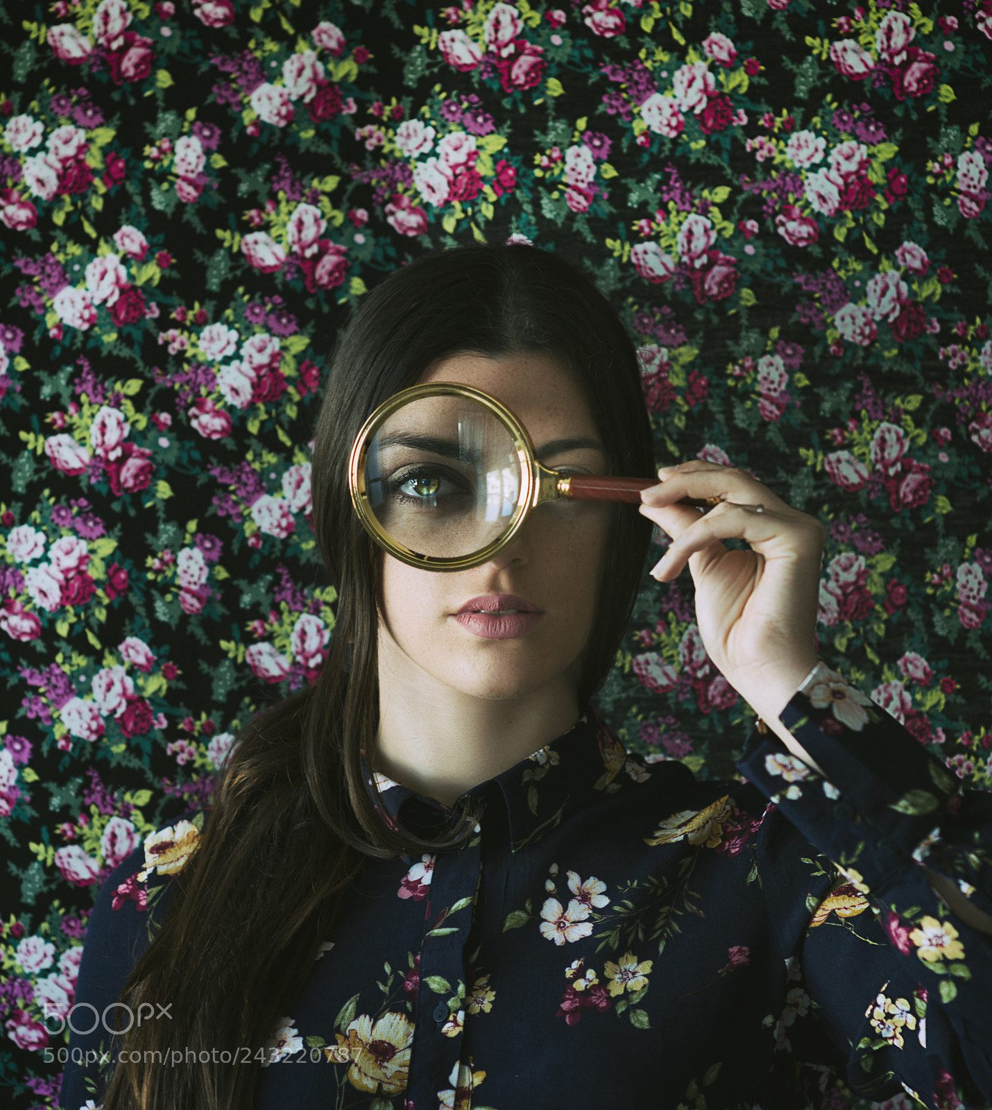 Nikon D610 sample photo. I see you... photography
