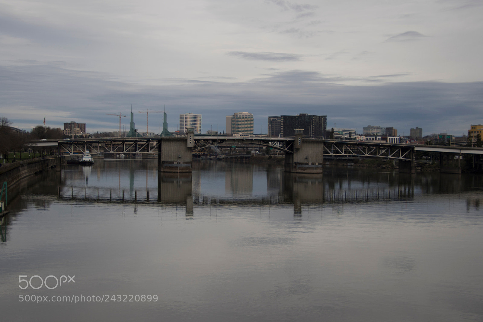 Canon EOS 7D Mark II sample photo. Just january photography