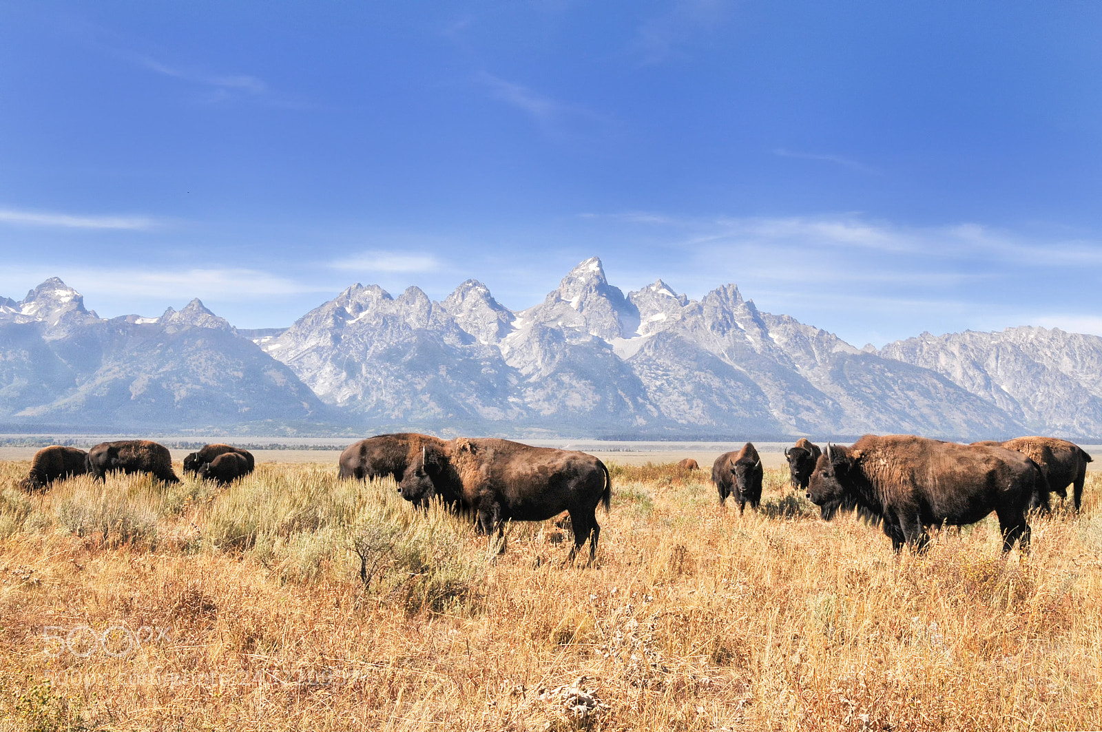 Nikon D300 sample photo. Grand teton and the photography