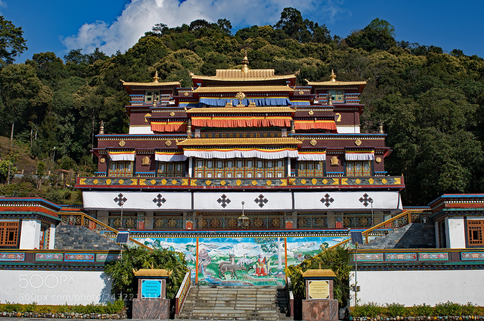 Nikon D500 sample photo. Ranka monastery photography