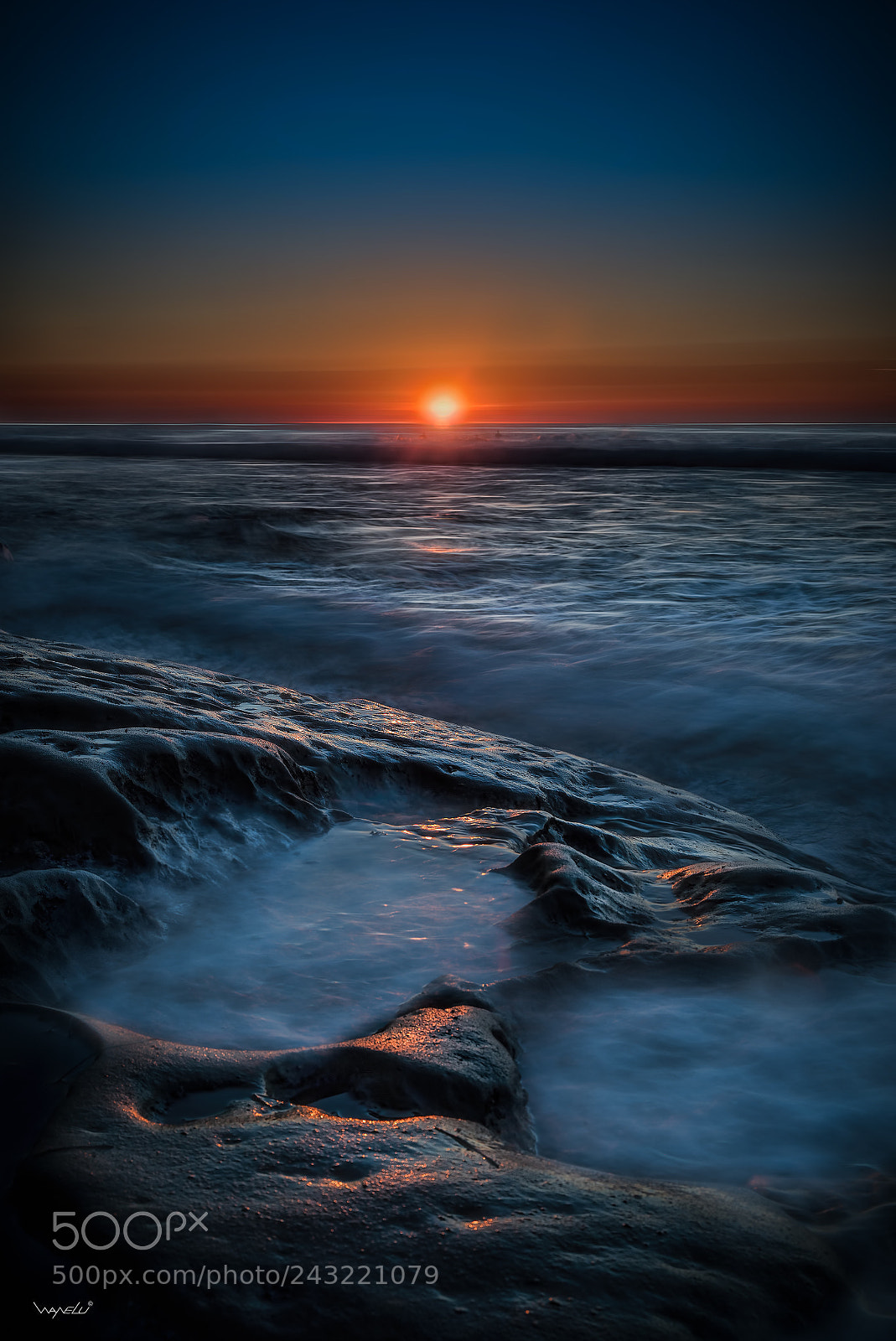 Canon EOS-1D X Mark II sample photo. La jolla tide pools (2) photography