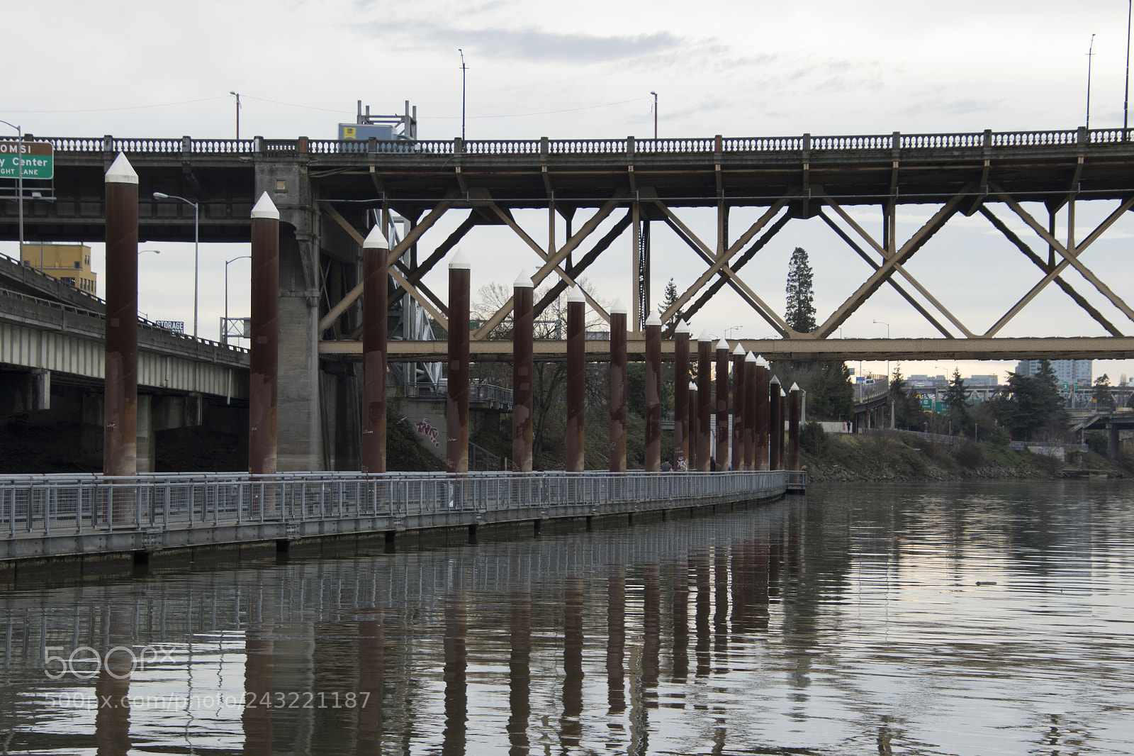Canon EOS 7D Mark II sample photo. Just january photography