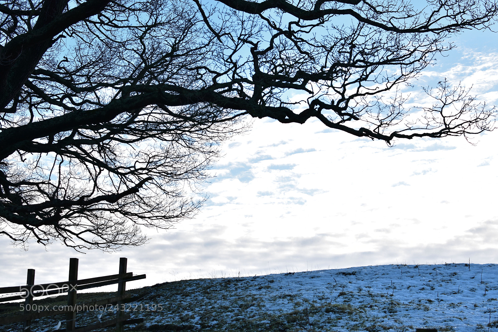 Nikon D5500 sample photo. Another winter photography