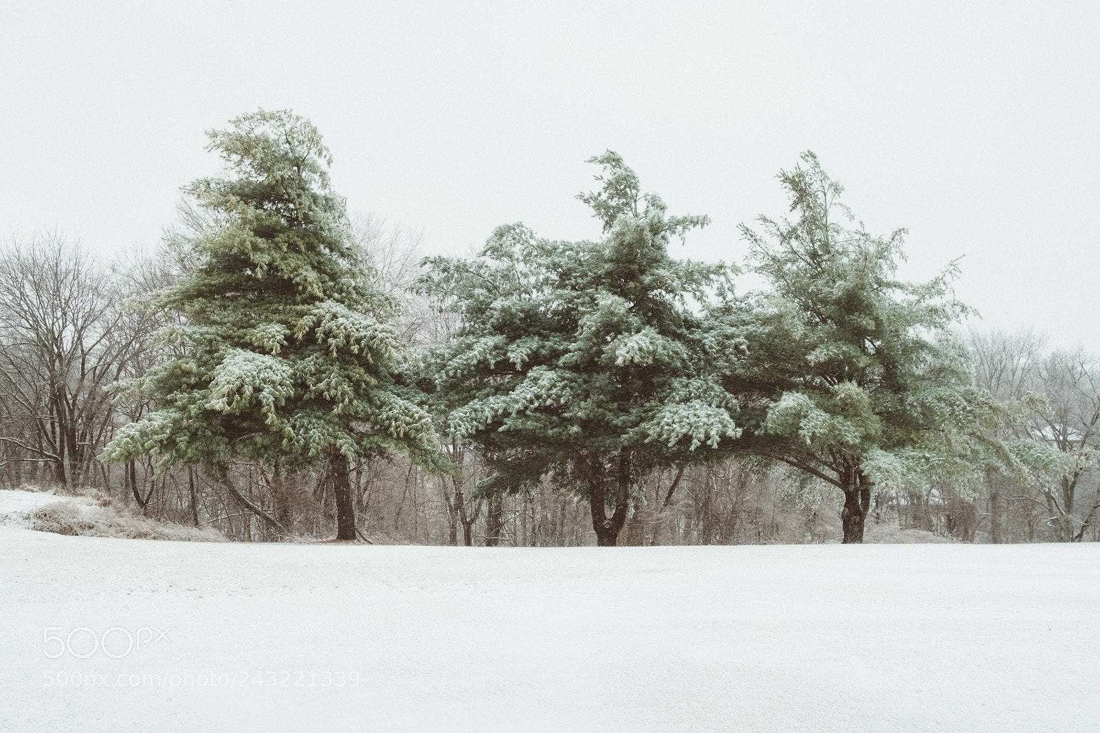 Fujifilm X-Pro2 sample photo. Untitled photography