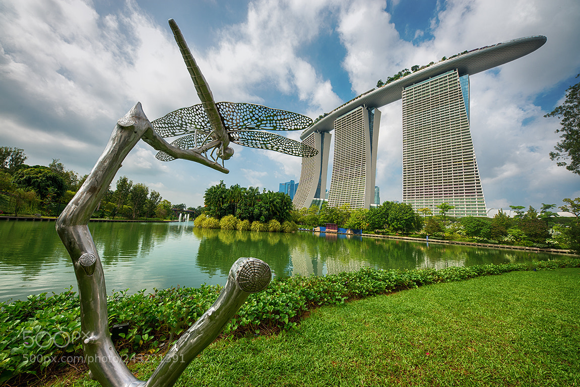 Nikon D800 sample photo. Singapur photography
