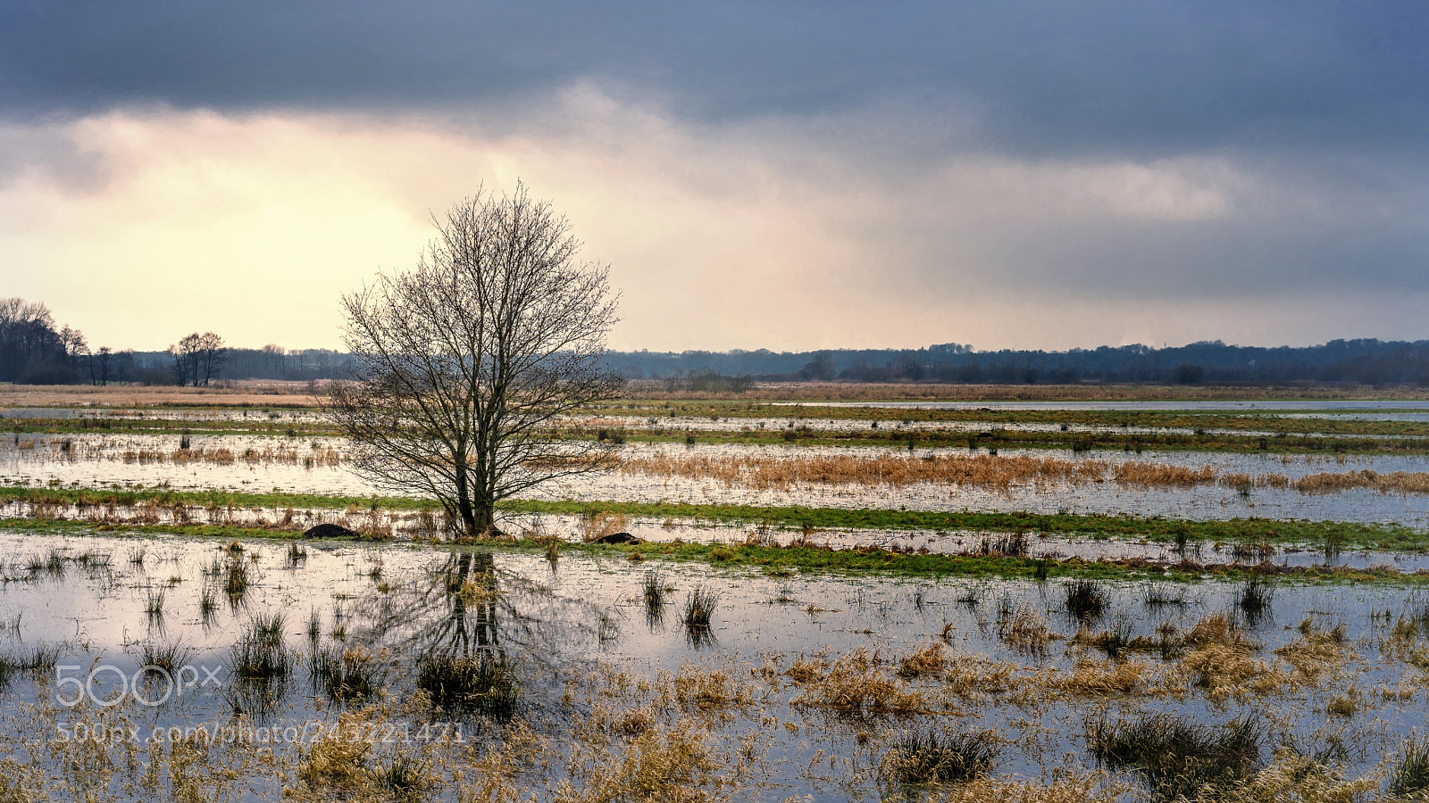 Sony a7R II sample photo. Moorland meadows photography