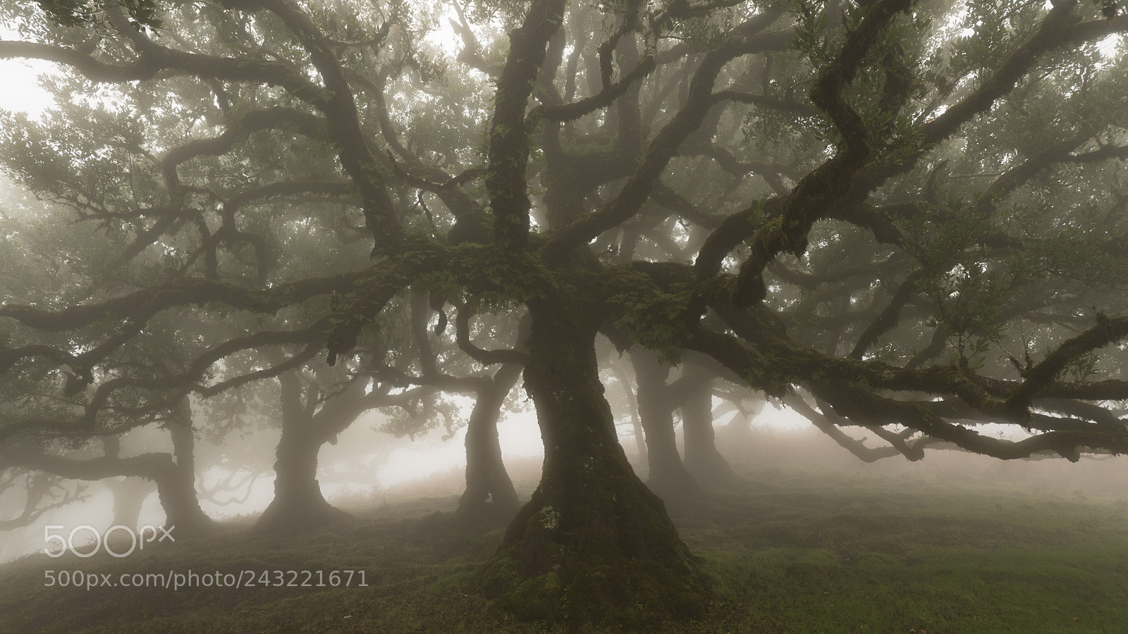 Sony a7S sample photo. Dsc photography