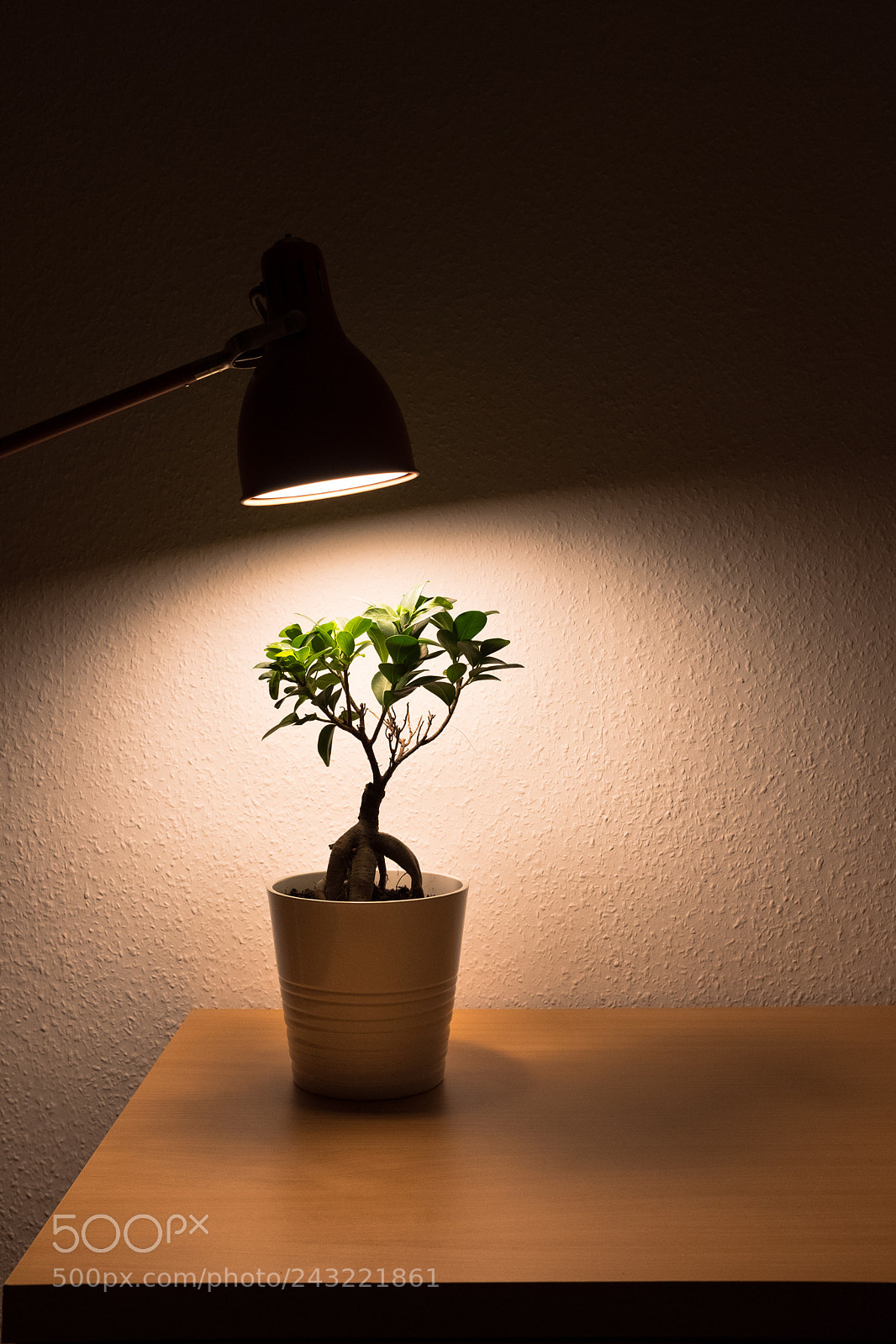 Fujifilm X100F sample photo. Spotlight photography