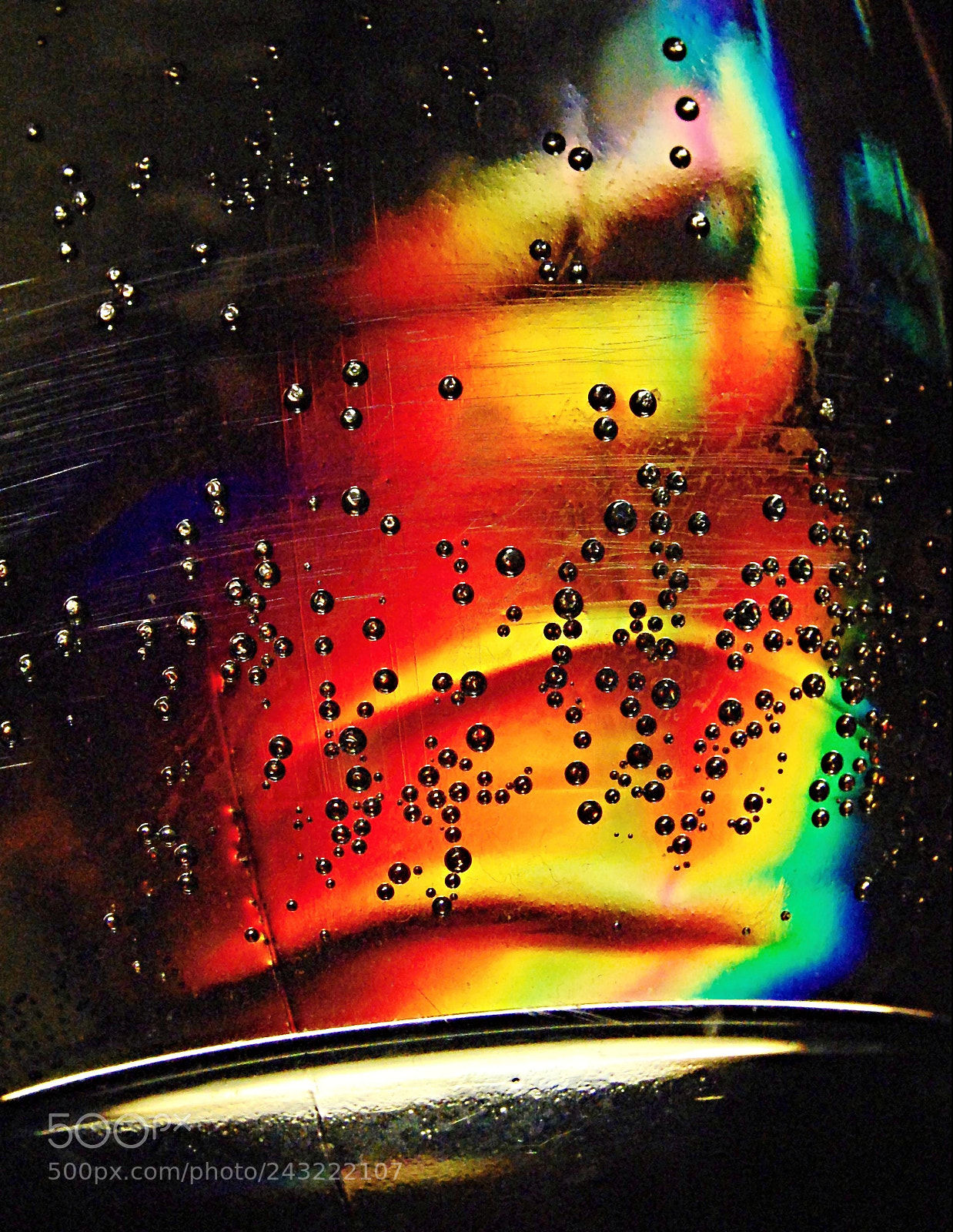 Nikon D40 sample photo. Untitled photography