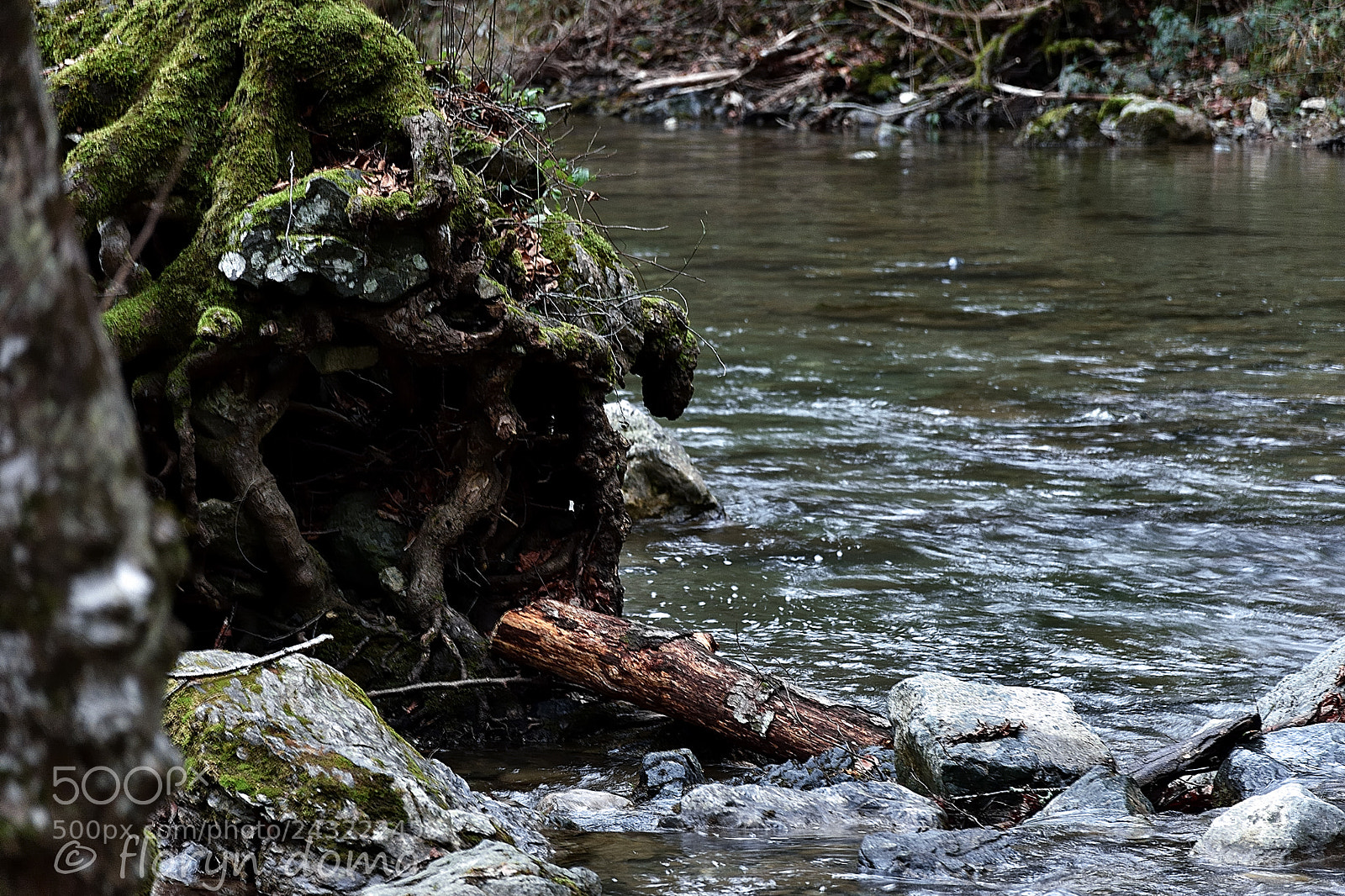 Nikon D7200 sample photo. .....stop image ( classic  ) photography