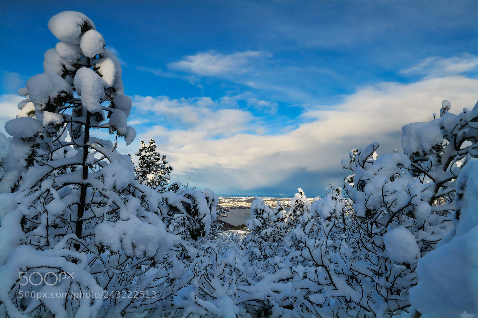 Canon PowerShot G7 X sample photo. Vassfjellet photography