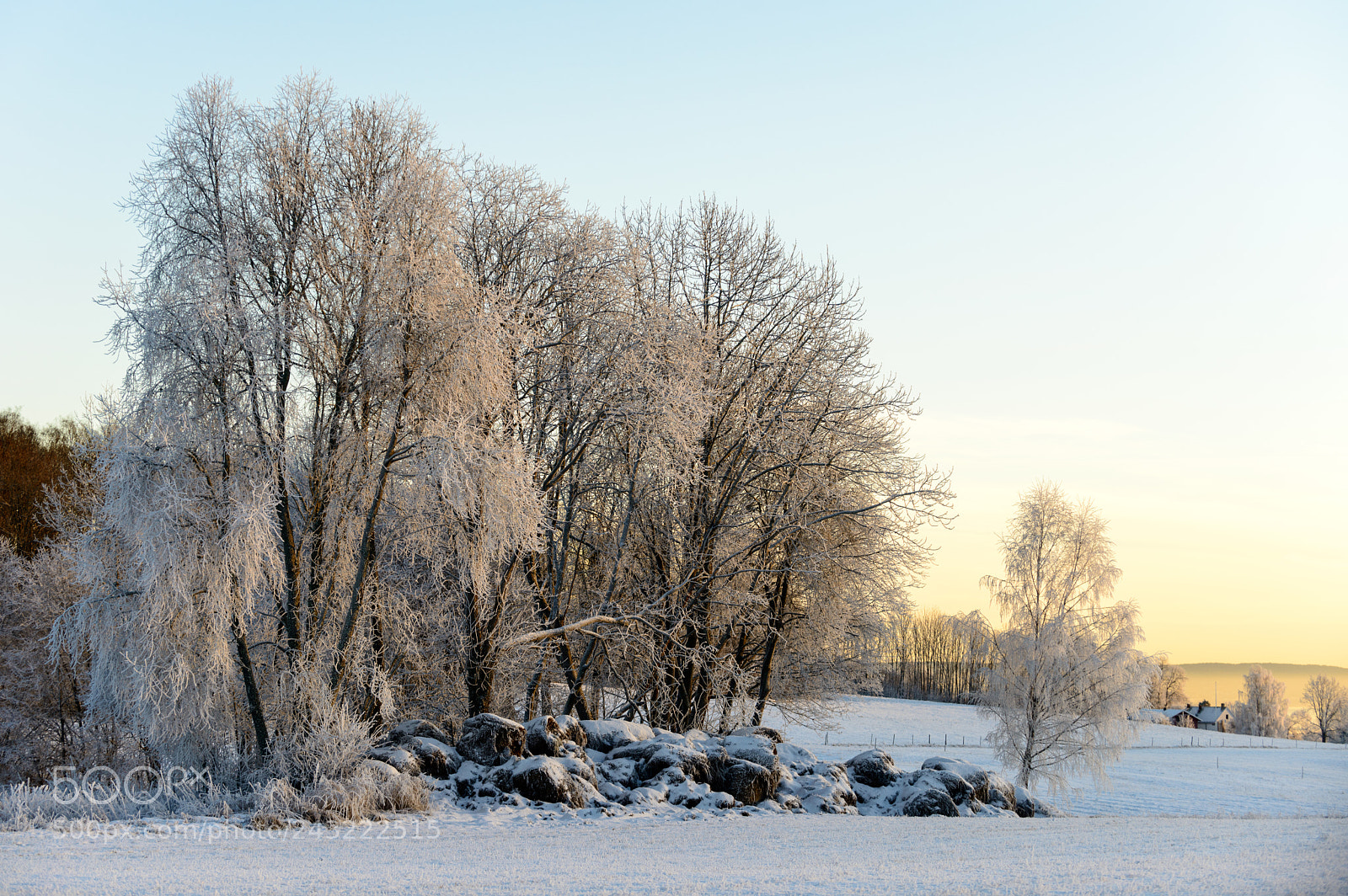 Nikon D800 sample photo. End of the day photography