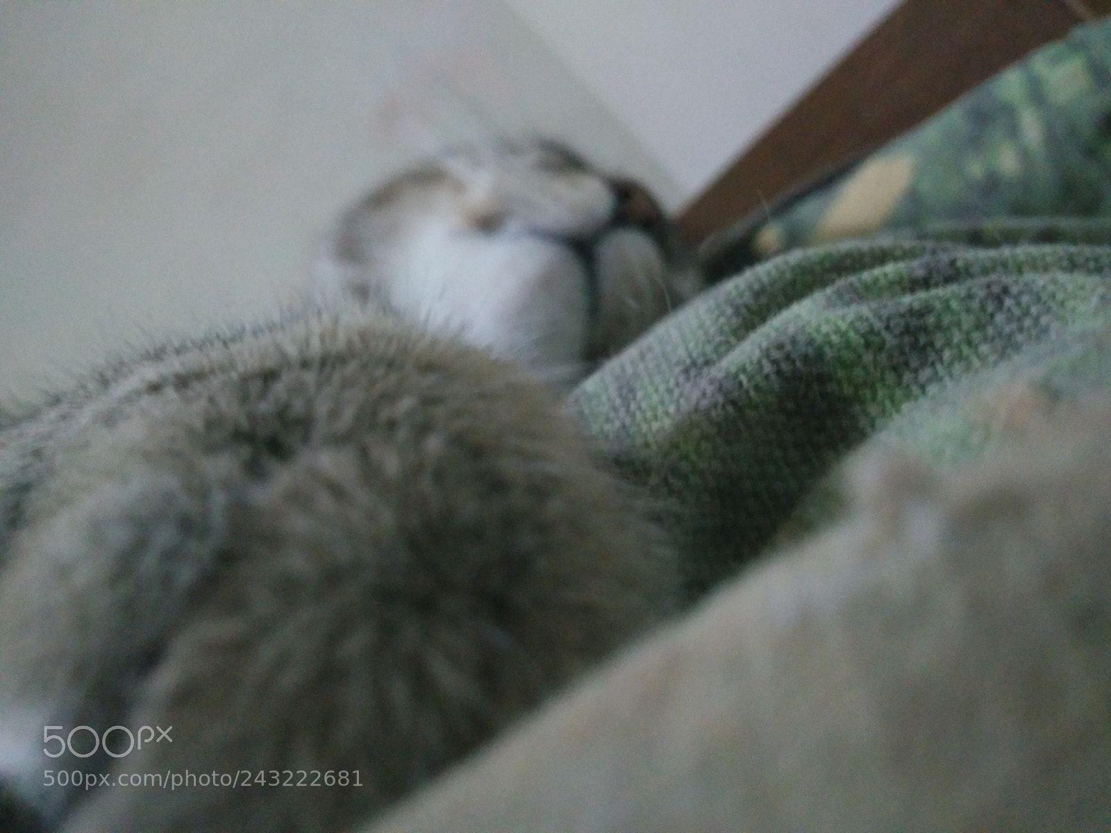 Xiaomi Redmi 4A sample photo. Agustín photography