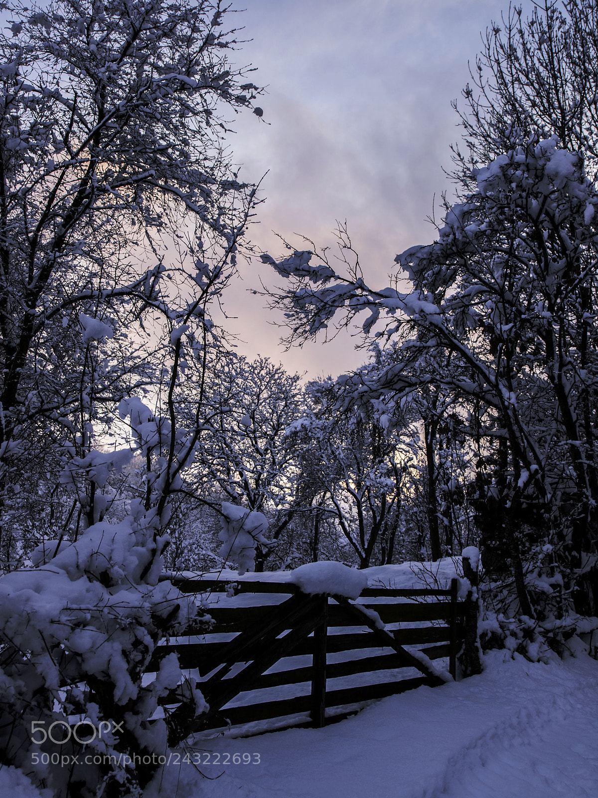 Olympus E-5 sample photo. Cold colours photography