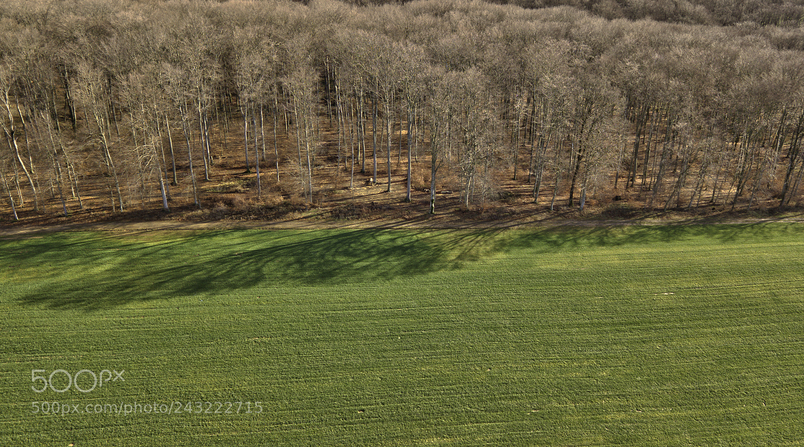 DJI FC220 sample photo. Where is winter? photography