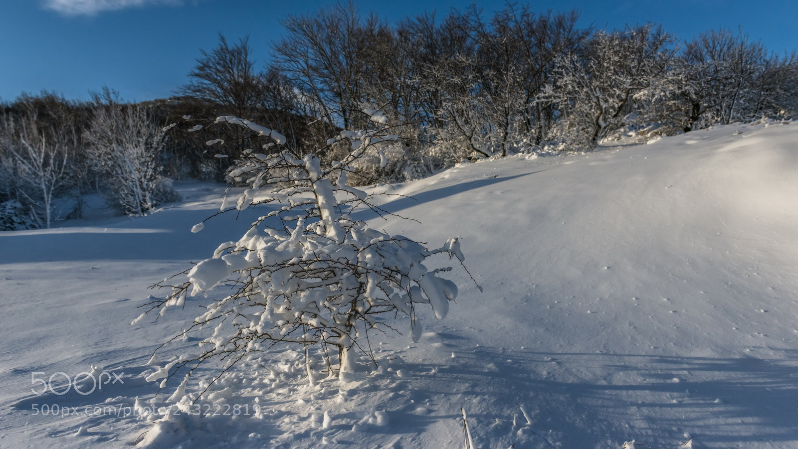 Nikon D800E sample photo. Lonely photography