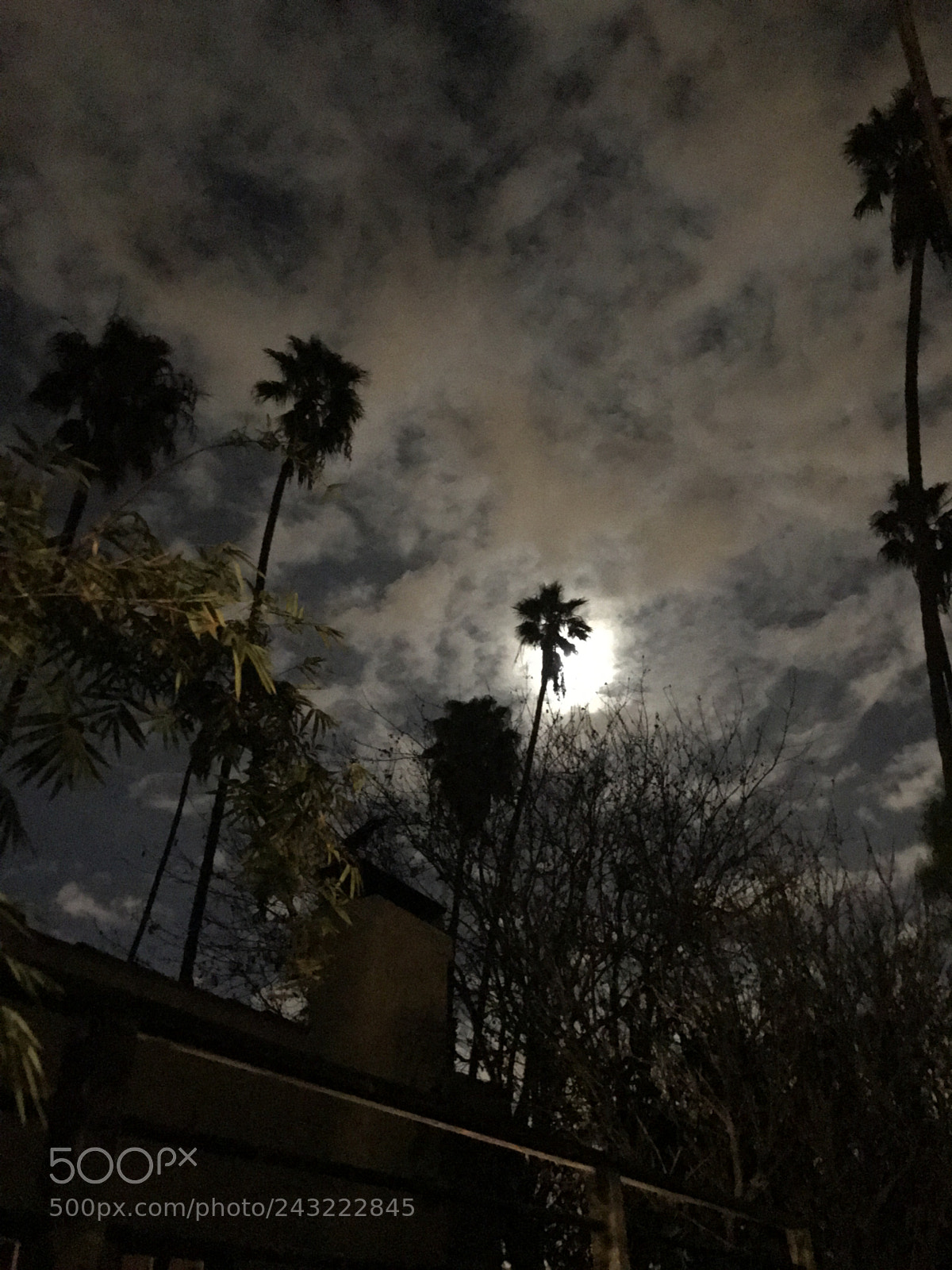 Apple iPhone 7 sample photo. Venice at night photography