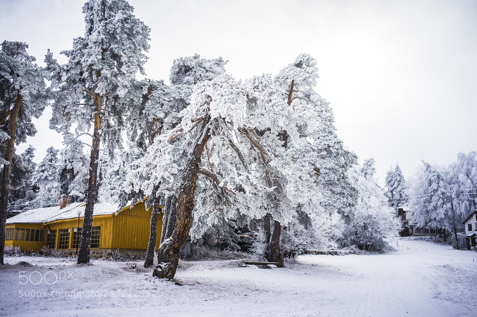 Sony a7 II sample photo. Dsc photography