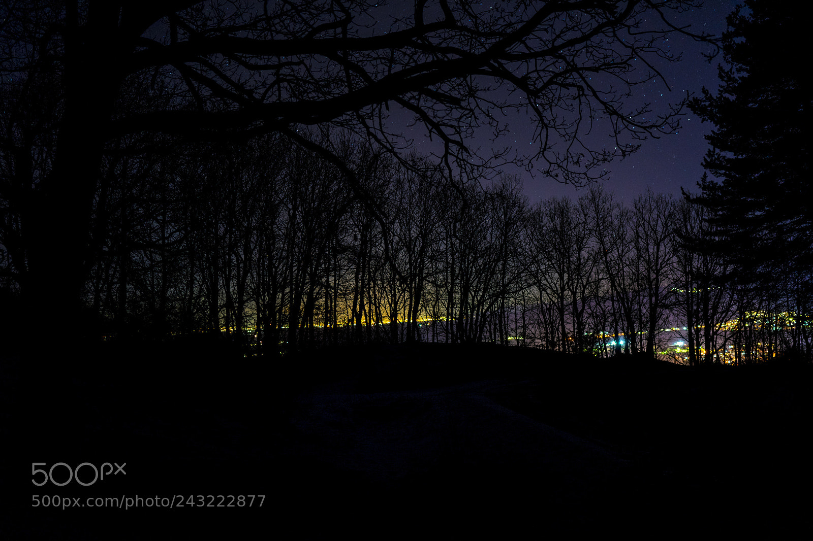 Sony a7 II sample photo. Dsc photography