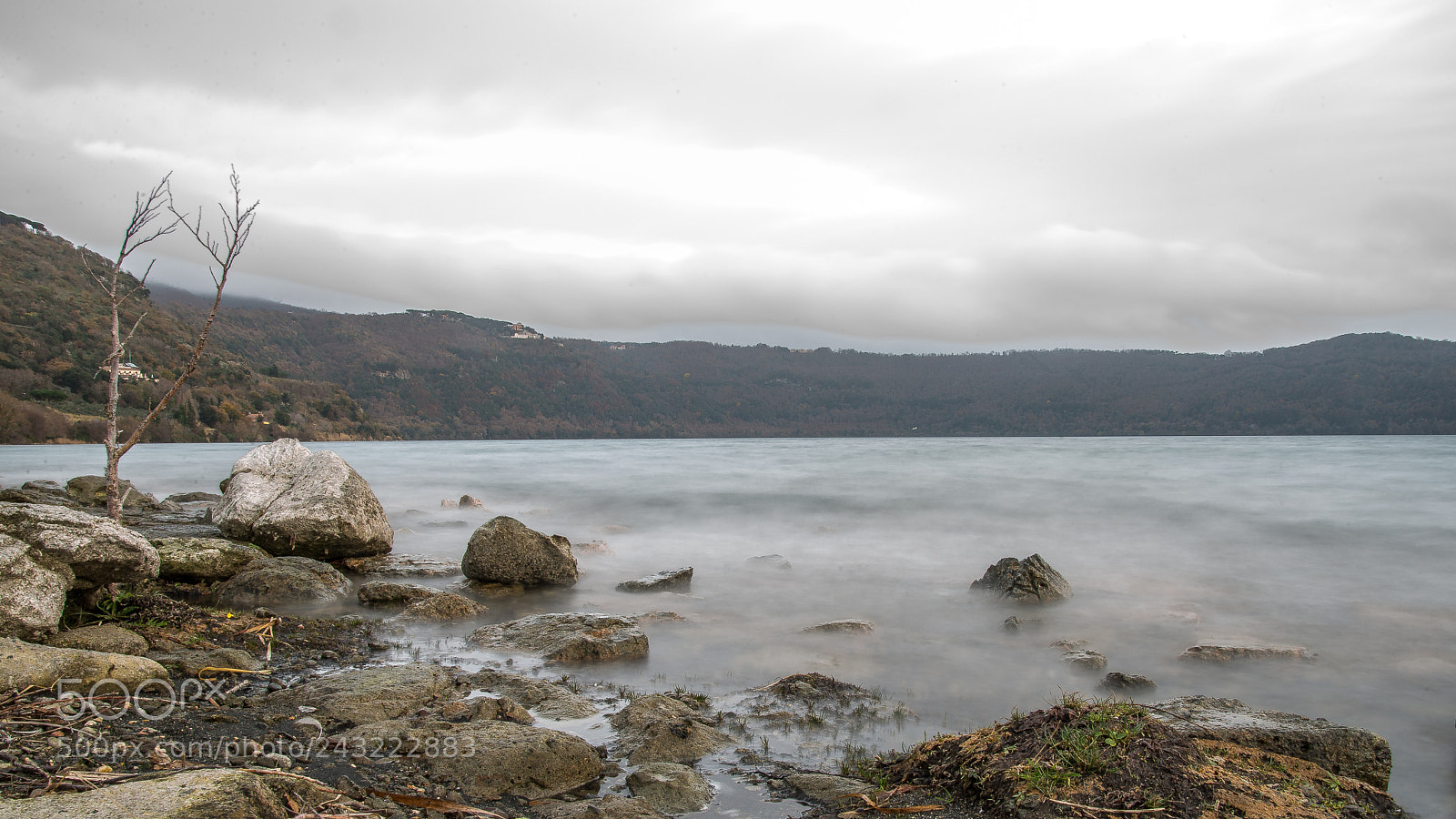 Nikon D610 sample photo. Untitled photography
