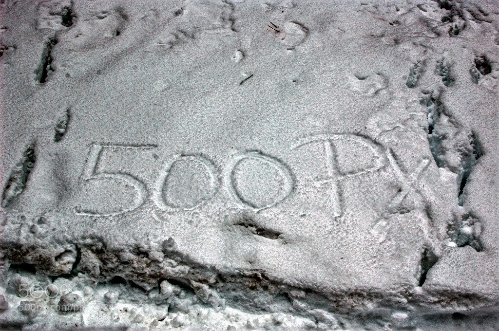 Nikon D40 sample photo. 500px photography