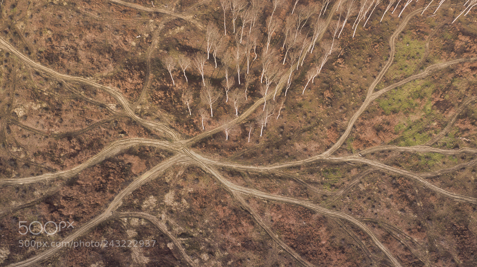 DJI FC220 sample photo. Veins photography