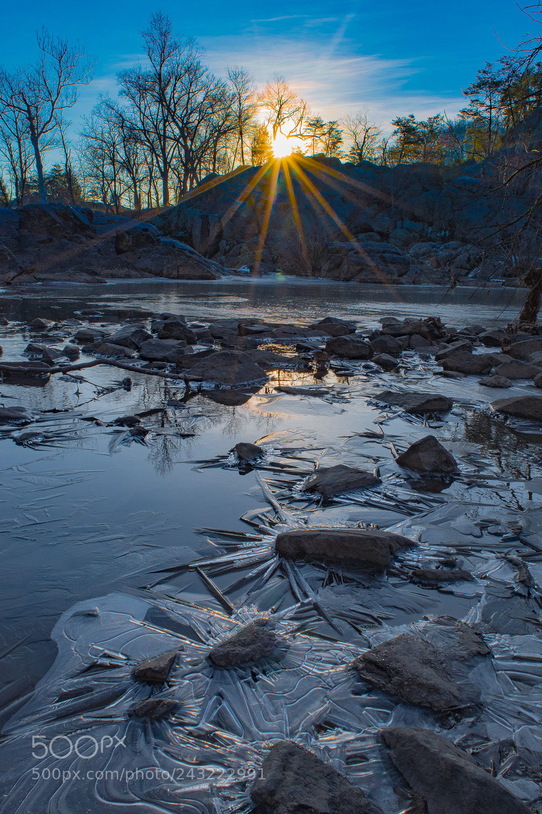 Nikon D5500 sample photo. Icy morning photography
