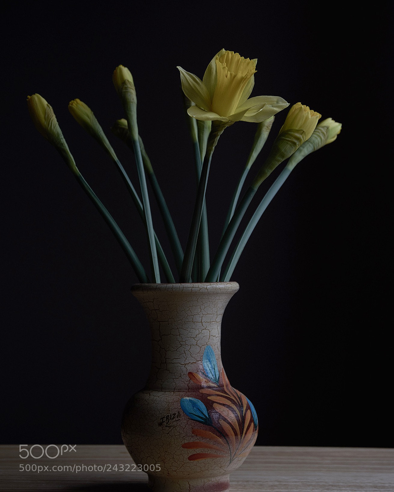 Nikon D7200 sample photo. Daffodils photography