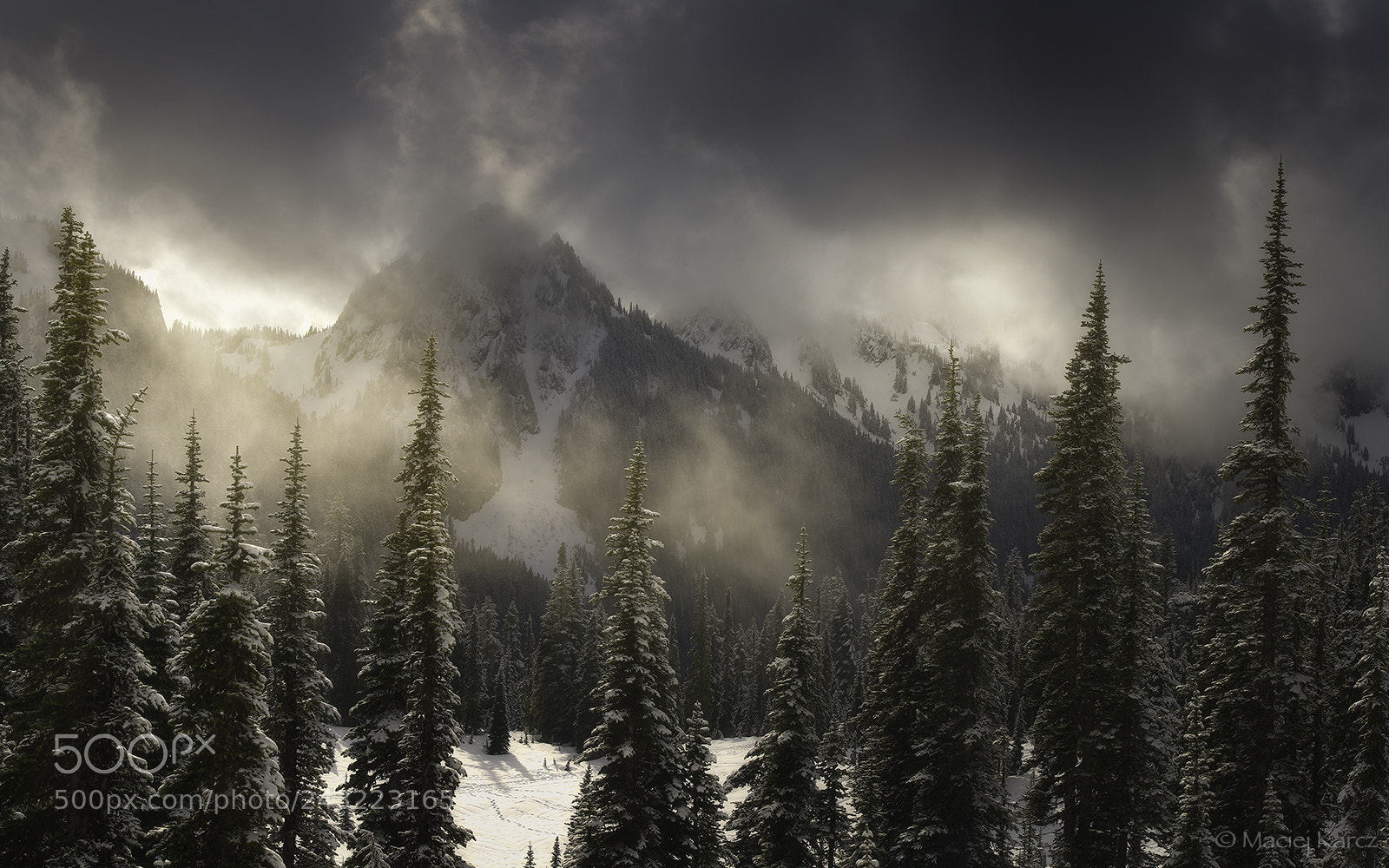 Nikon D800 sample photo. Mazama ridge 2 photography