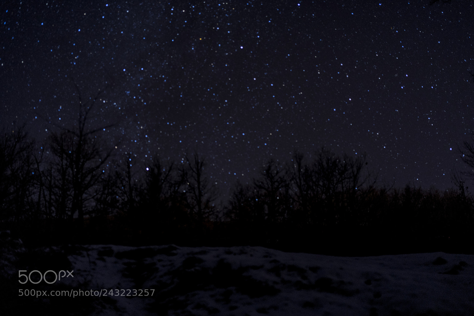 Sony a7 II sample photo. Dsc photography