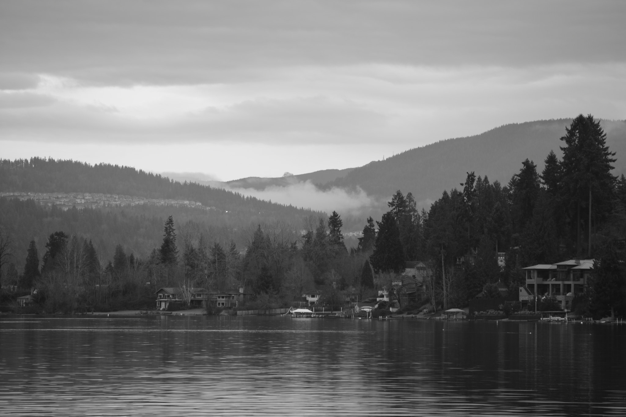 Nikon D7200 sample photo. Brisk photography
