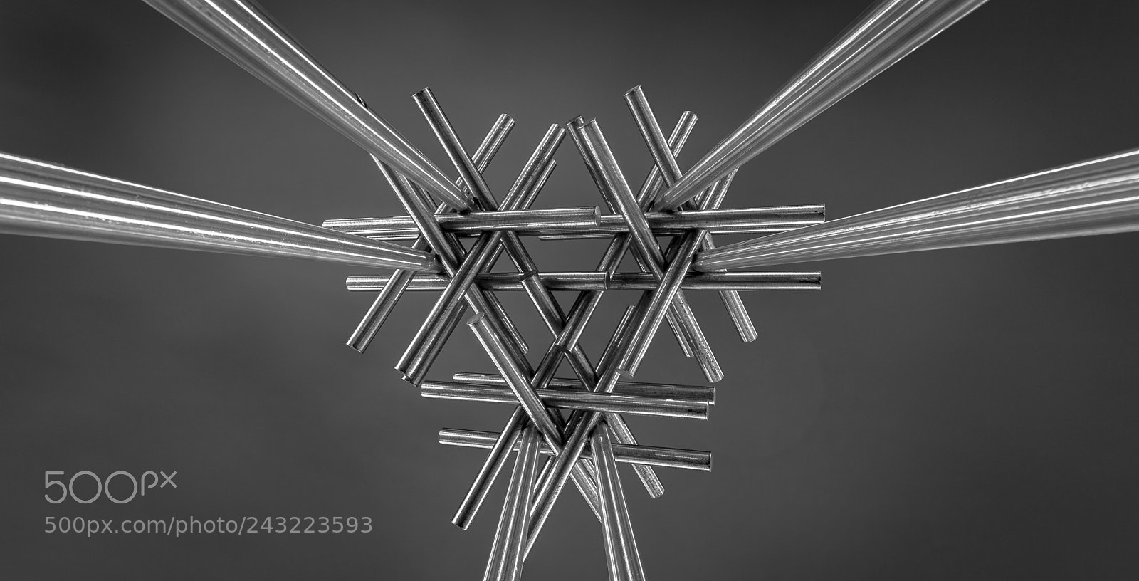 Canon EOS 6D Mark II sample photo. Knot bw photography
